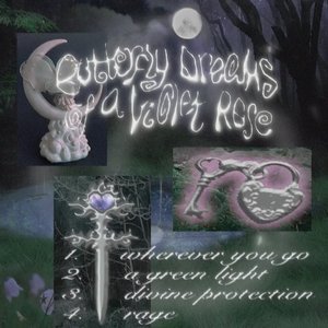 Butterfly Dreams Of A Violet Rose