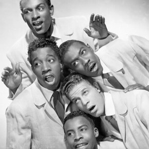 The Five Satins 的头像
