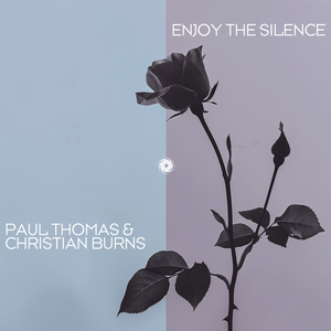 Artwork for Enjoy The Silence