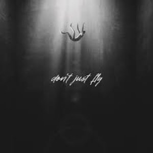 Don't Just Fly
