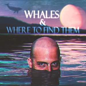 Whales and Where to Find Them