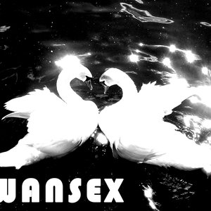 Avatar for SwanSex