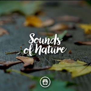 Sounds of Nature