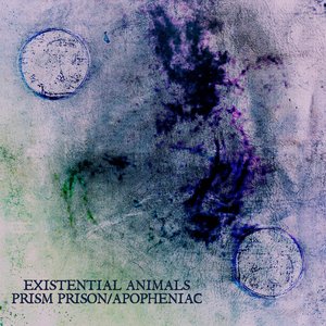 Prism Prison/Apopheniac