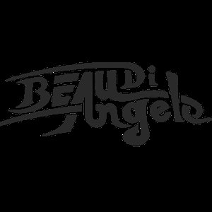 Beau Di Angelo 的头像