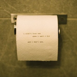 I Didn't Love You when I Said I Did and I Don't Now