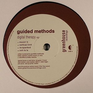 Avatar for Guided Methods