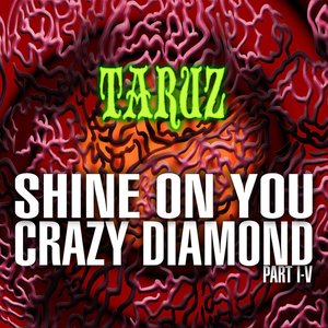 SHINE ON YOU CRAZY DIAMOND (PART I-V) - EP
