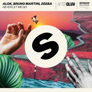 Alok, Bruno Martini, Zeeba 的头像