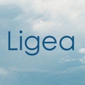Ligea 的头像