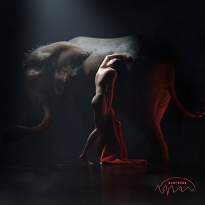 The Elephant In The Room
