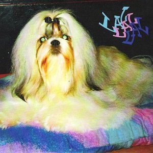 Reijo Pami 的头像