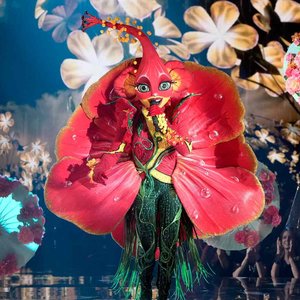 The Masked Singer: Hibiscus 的头像