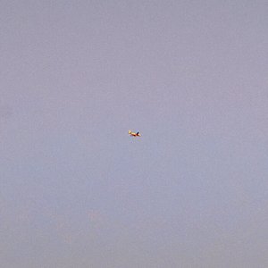 In Transit - Single
