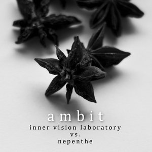 Ambit