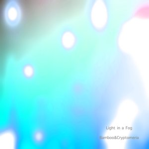 Light in a Fog