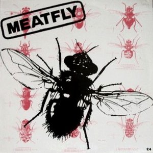 Meatfly