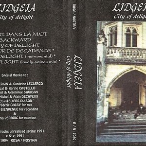 lidgeïa 的头像