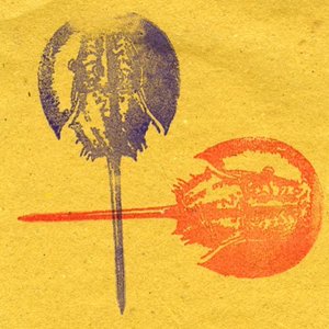 Canzoni Tutte Uguali