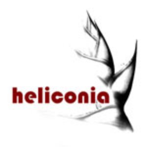 Heliconia のアバター