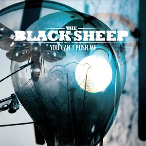 You Can't Push Me - Single