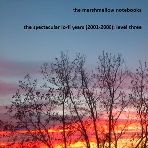 The Spectacular Lo-Fi Years (2001-2008): Level Three