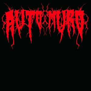Automuro 的头像