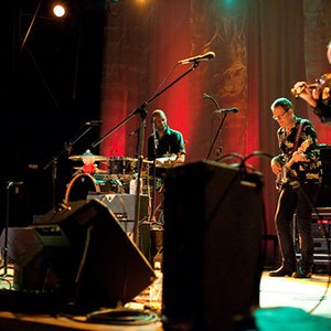 The Richard Thompson Band 的头像