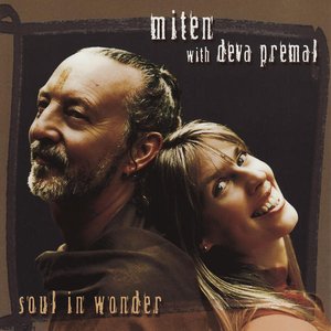 “Soul In Wonder”的封面