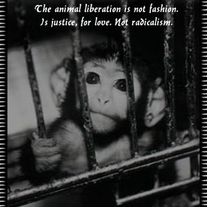 The animal liberation is not fashion, is justice, for love. Not radicalism