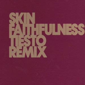 Faithfulness (Tiesto Remix)