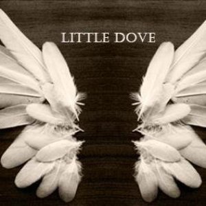 Little Dove