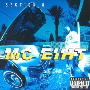 Section 8 (Explicit)