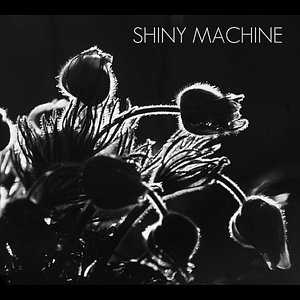 Shiny Machine