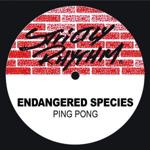 Ping Pong