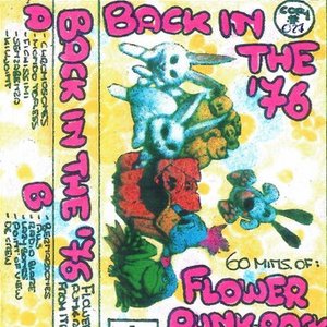 Back in '76 (60 Mins Of Flower Punk-Rock & More From Italy)