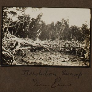 Desolation Swamp