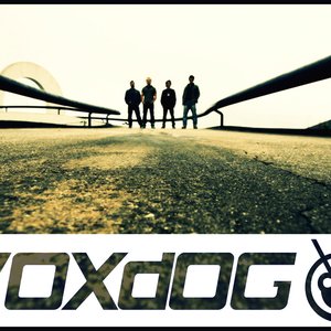 VOXDOG için avatar