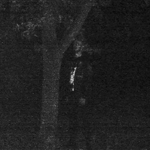 Forest Grave 的头像