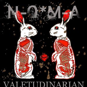 Valetudinarian