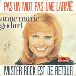 Pas Un Mot, Pas Une Larme / Mister Rock Est De Retour