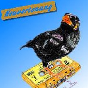 “www.neuvertonung.de”的封面