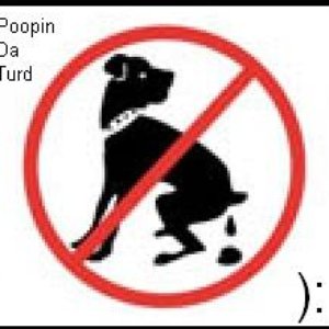 Avatar for Poopin da Turd