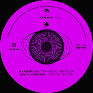 Feeding the Chaos - Single