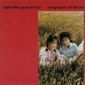 Compuesto de hierro cover