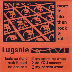 More To Life Than Rock & Roll