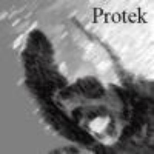 Avatar for Protek