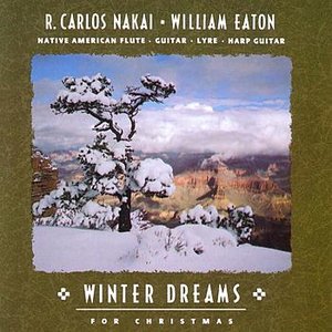 “Winter Dreams for Christmas”的封面