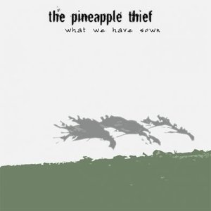 The Pineapple Thief - Well, I Think That