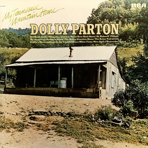 My Tennessee Mountain Home cover